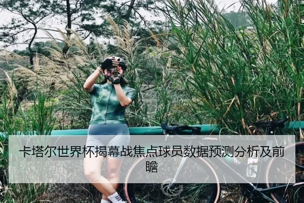 卡塔尔世界杯揭幕战焦点球员数据预测分析及前瞻